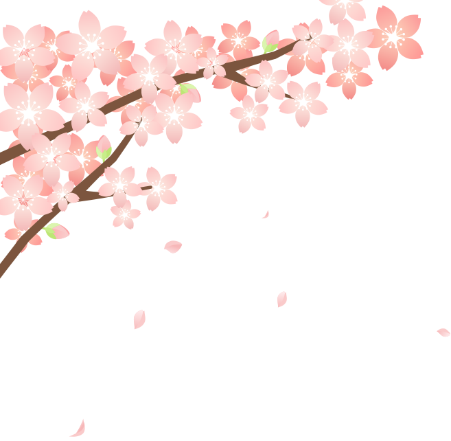 さくら