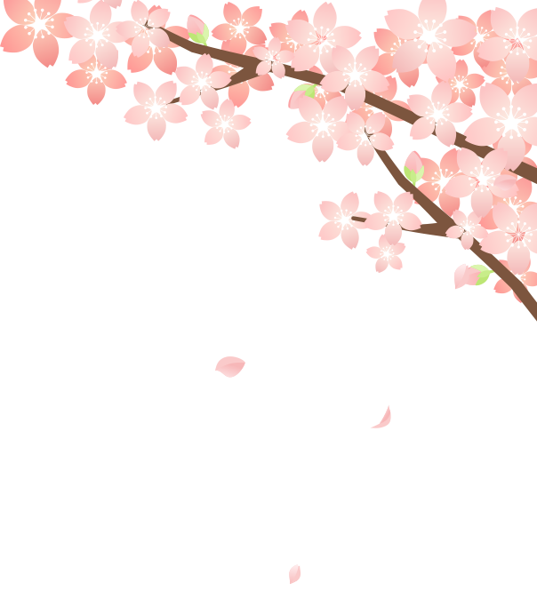 さくら